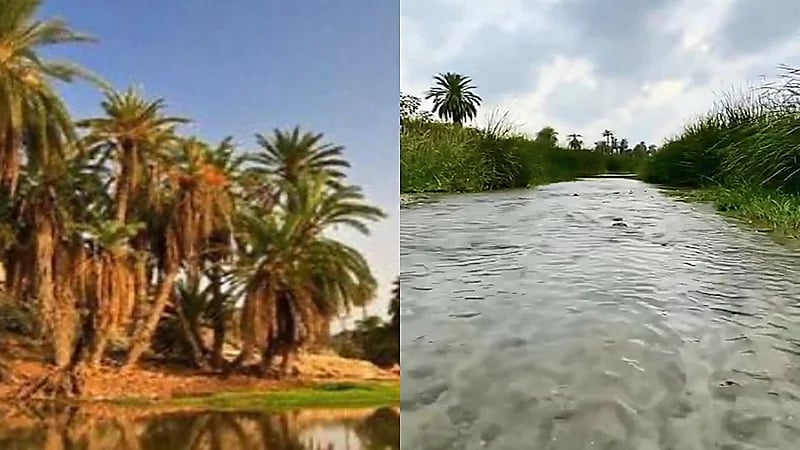 مواطن يدفع حياته ثمنًا لإنقاذ والد صديقه بالقنفذة