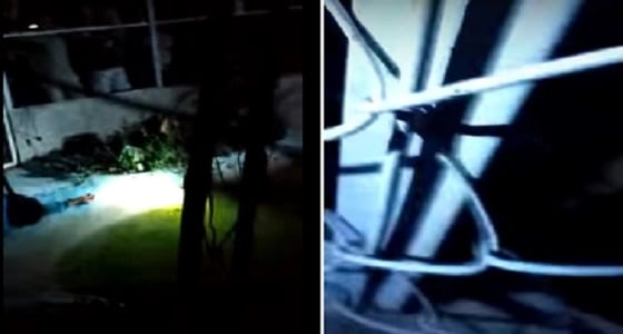 بالفيديو.. لحظة إلقاء شاب للتماسيح لاغتصابه فتاة صغيرة