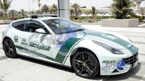 بالفيديو..استشاري : لايوجد "شامبو"لعلاج تساقط الشعر