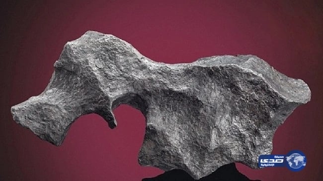 "مدني المدينة" يخمد حريقاً في مبنى سكني