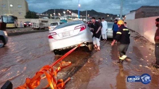 حلا شيحة: أحمد سعد صديق عزيز