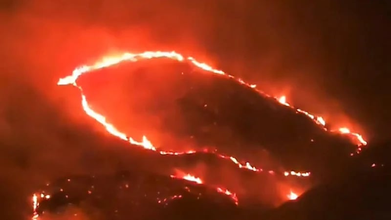 حريق هائل بجبال بني مالك في الطائف.. فيديو