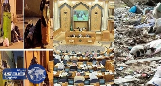 " الشورى " يُشيد بدور القطط والكلاب في معالجة النفايات أكثر من البلديات