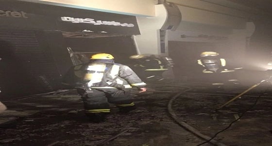 بالفيديو.. مناظر خلابة بحديقة حيوان الرياض