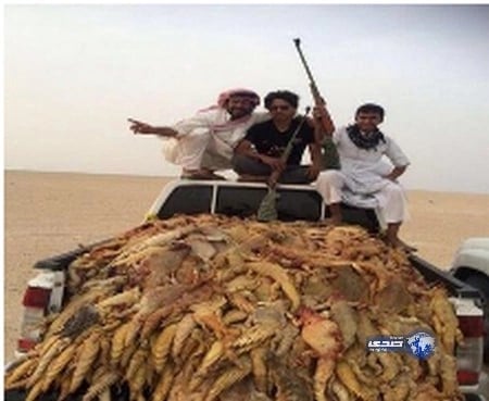 الحياة الفطرية : لم نرصد أي مبالغ للإرشاد عن صائدي "الضبان"