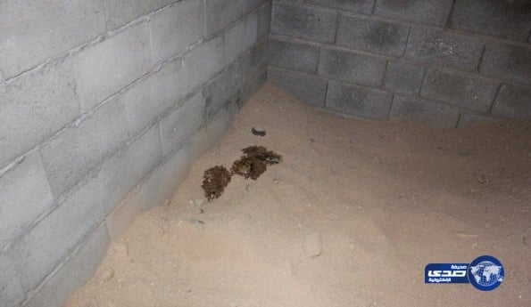 شرطة تبوك تكشف سر الجثة المدفونة بمبنى تحت الإنشاء