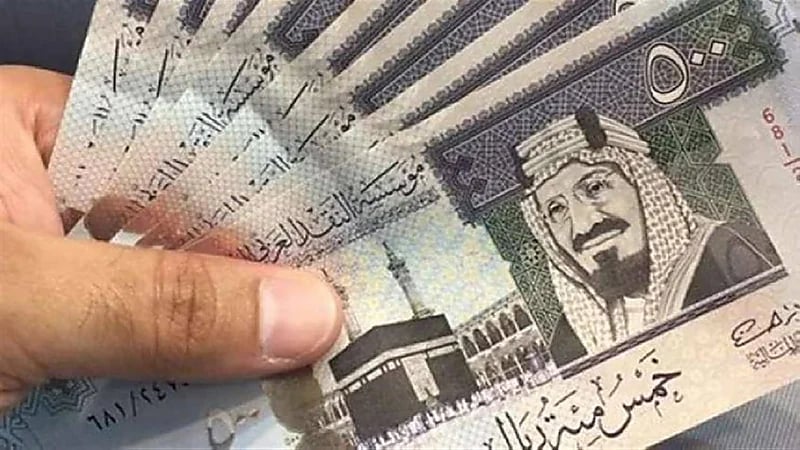 وافد يفقد 1200 ريال بسبب فأر!