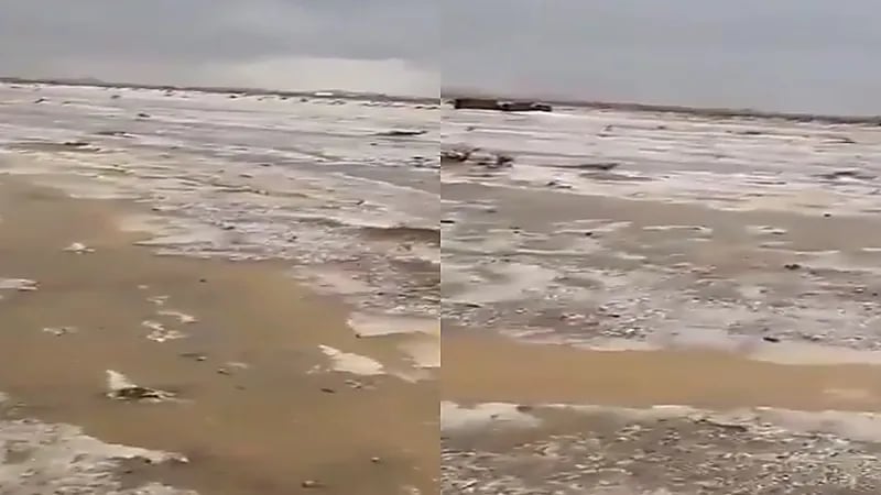 فيديو يكشف عن بردية الرفايع بحائل