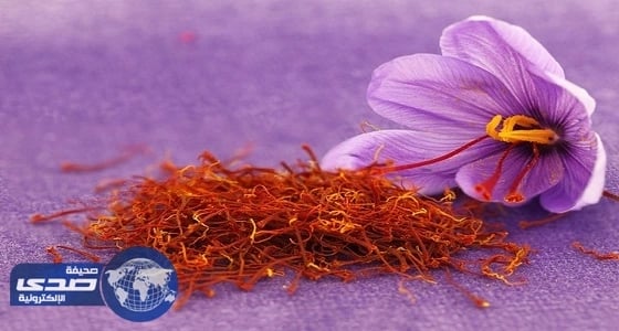 خبيرة تغذية: الزعفران مهدئ ومضاد للاكتئاب ويساعد على الهضم