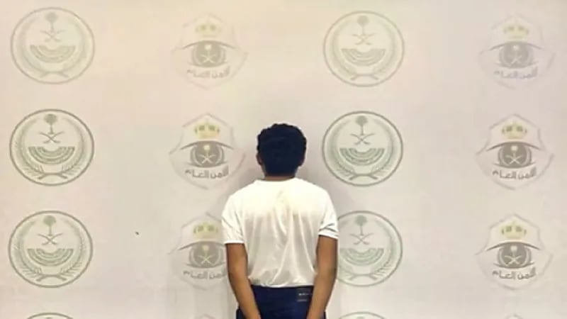 سقوط مجرمين في قبضة رجال الأمن.. فيديو