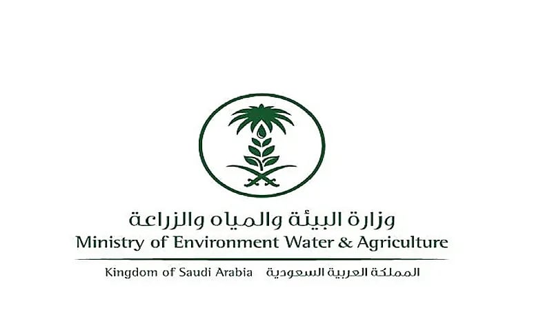 متحدث " البيئة " ينفي زيادة نسبة النترات في الخضار