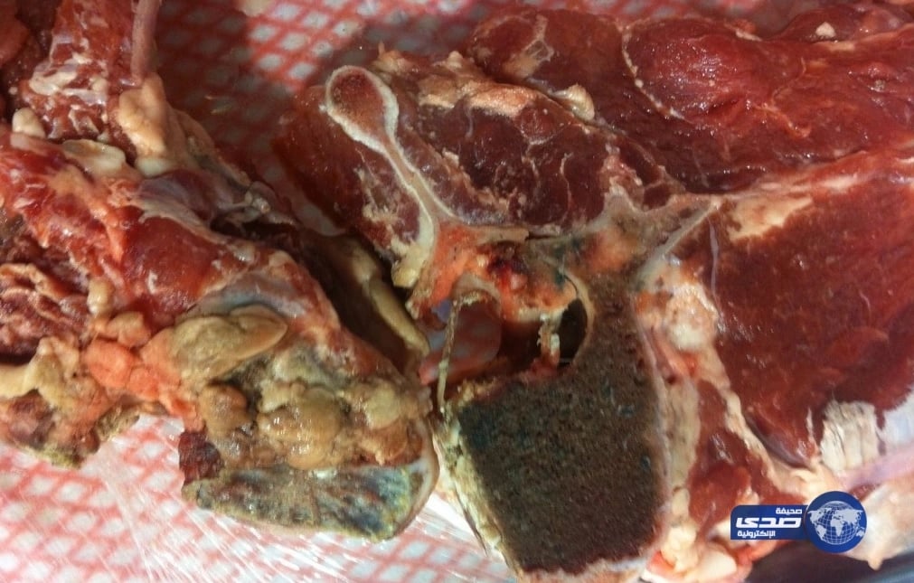 أمانة الجوف ترصد مخالفات صحية على عددٍ من المنشآت والمطاعم