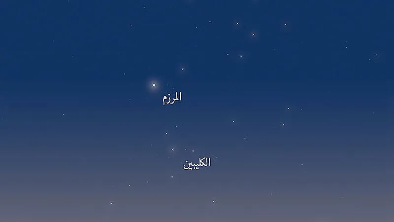 المسند يوضع أسباب اهتمام العرب بسهيل