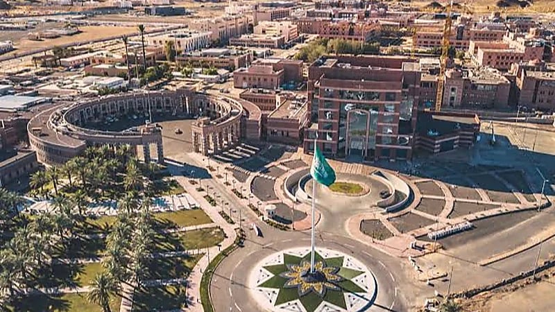 فريق بجامعة طيبة يكتشف طفرة في جين مسبب لداء السكري عند حديثي الولادة