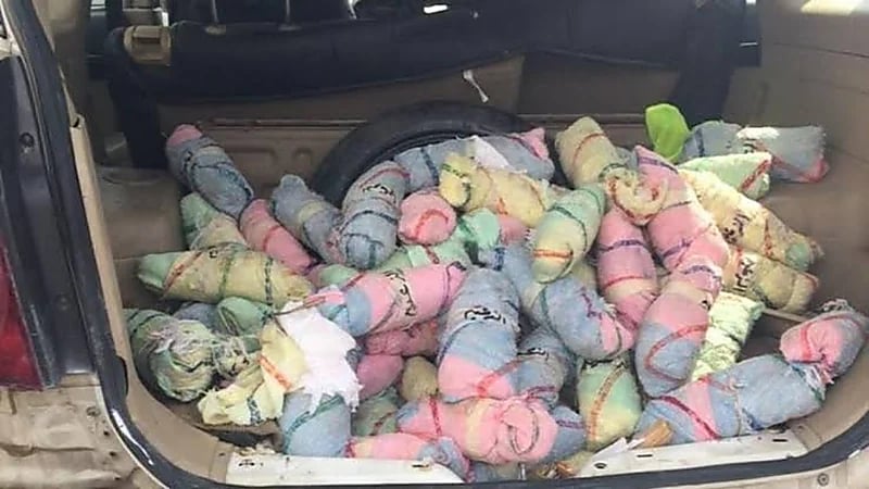 ضبط 139 كيلو جرامًا من نبات القات المخدر في جازان