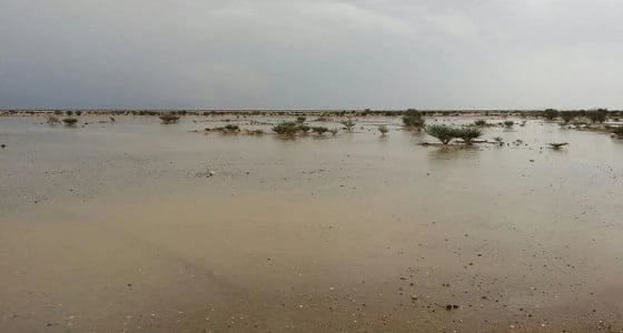 سيول مركز الغريف تجرف ٤٠٠ نخلة وتقطع الكهرباء