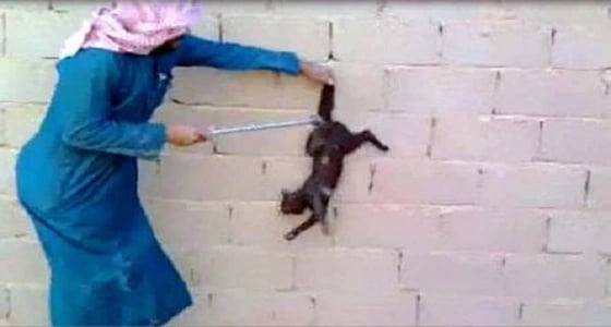 عقوبات جزائية بحق المسيئين للحيوانات بعدة مناطق في المملكة