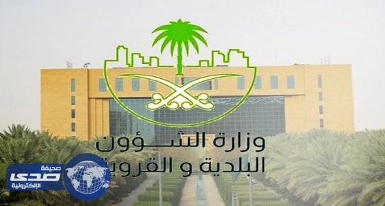 إصدار 29243 رخصة إنشائية ومهنية إلكترونيًا