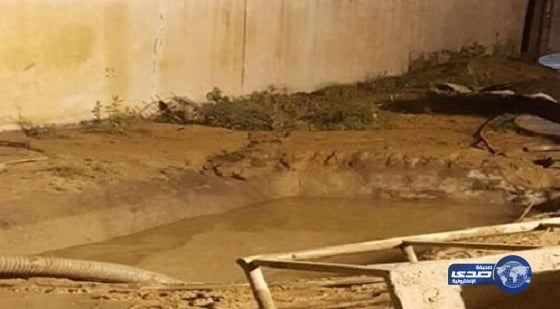 البيت الأبيض: مكالمة ترامب وبوتين خطوة أولى مهمة لتحسين العلاقات