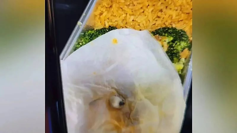 امرأة تعثر على ضرس مخلوع داخل وجبتها على متن طائرة بريطانية