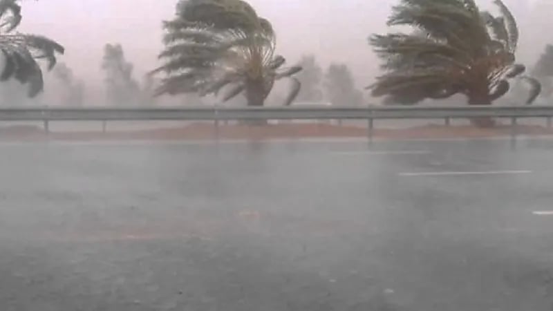 "الأرصاد": المملكة ستشهد تقلبات جوية بدءً من الغد