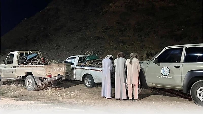 ضبط 3 مواطنين لقطعهم الأشجار ونقل الحطب المحلي في نجران