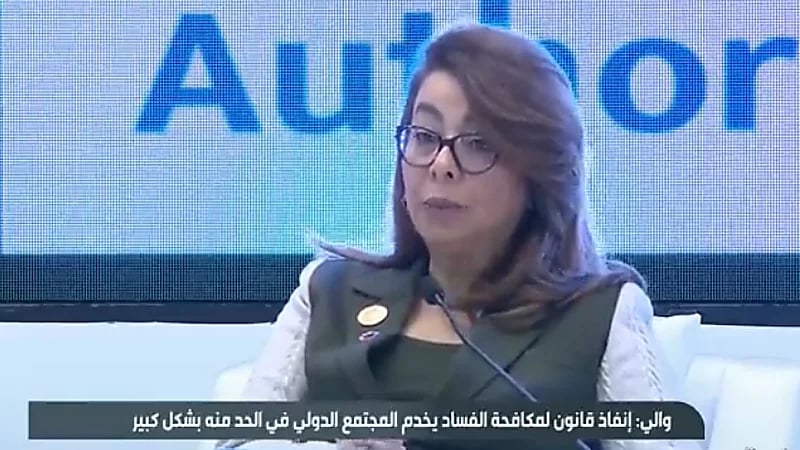 غادة والي: الإنترنت ساهم في انتشار الجرائم والاحتيال المالي واتفاقية مكة تكافح الفساد (فيديو)