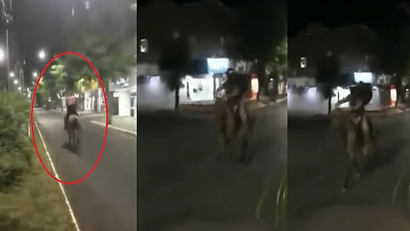 شاهد.. عامل توصيل بيتزا يستخدم الخيل بعد ارتفاع أسعار البنزين