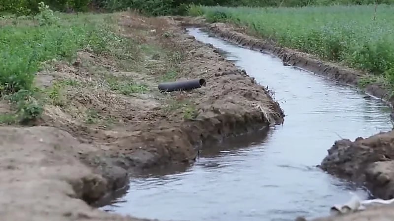 سيول السودان تدمر 10 آلاف فدان في مشروع الجزيرة