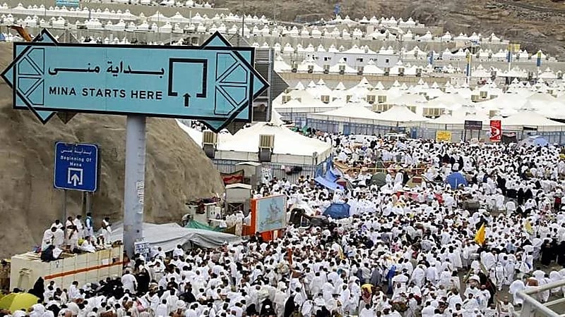 ضيوف خادم الحرمين يستقرون في مشعر عرفات لأداء الركن الأعظم