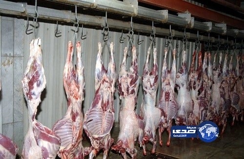 بالفيديو.. سعاد صالح تعلق على فتوى معاشرة الزوجة المتوفاه والبهائم