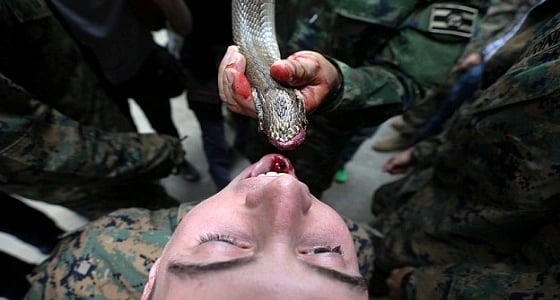فيديو مروع لجنود يتناولون دماء ثعابين ويأكلون السحالي