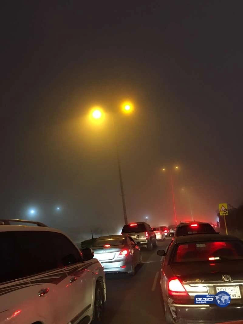 بالصور...منع المصطافين من الوصول لـ"غابة رغدان" بالباحة بسبب الزحام