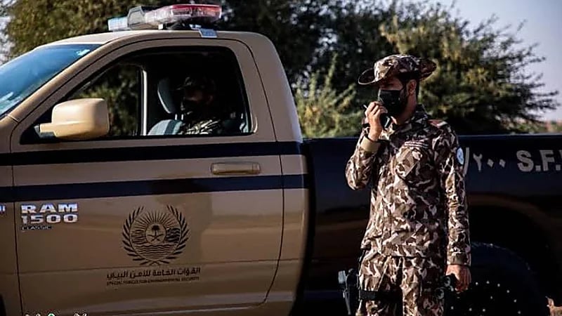 القبض على 3 مواطنين مخالفين للأمن البيئي بالمدينة المنورة