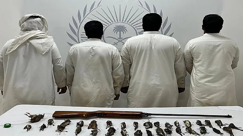 القبض على 4 مخالفين لارتكابهم مخالفة صيد بمحمية الإمام تركي الملكية
