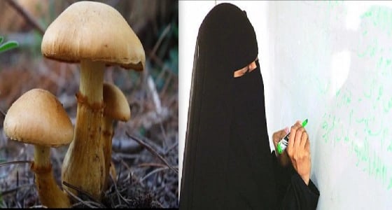 معلمة أحياء تستثمر المخلفات المدرسية في استزراع الفطر