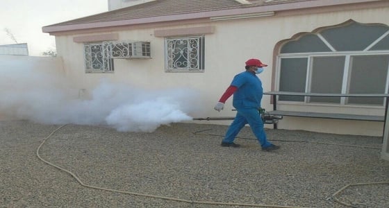 بالصور.. حملة للحد من التلوث ومكافحة الحشرات بنجران