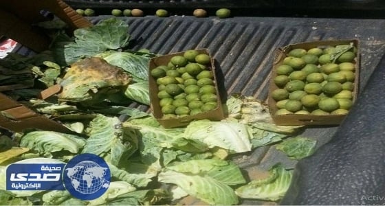 مصادرة نصف طن تمور وخضار فاسد في وادي الدواسر