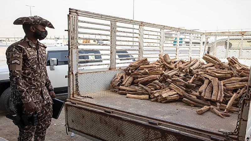 ضبط 13 مخالفا لنظام البيئة