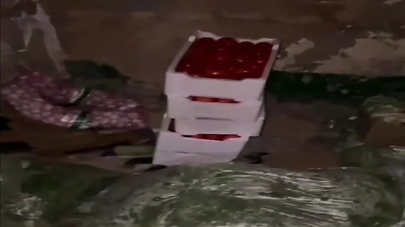 شاهد.. أمانة الرياض تداهم مستودعا لحفظ الخضار والأطعمة