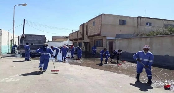 بالصور.. البلدية تزيل سيارات تالفة وتحجز مواشي سائبة من مخطط ابن مشيط