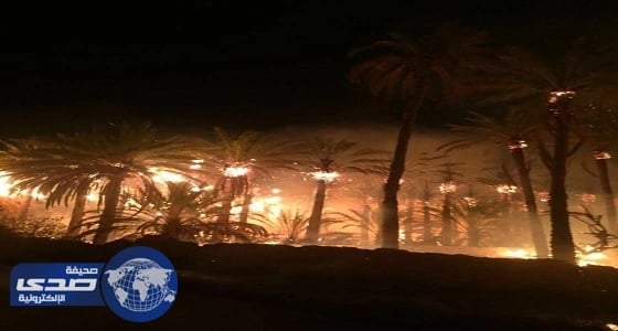 ⁠⁠⁠⁠⁠إخماد حريقاً اندلع في ٦ مزارع متجاورة بـ " دومة الجندل "