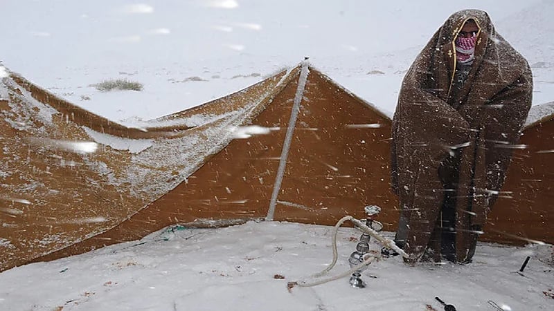 تخرج فيه الحيات والعقارب..الحصيني يوضح ملامح "بياع الخبل عباته"