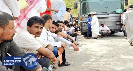 السماح للوافد بالاستثمار في المهن الحرة مقابل ضريبة 20% سنويًا