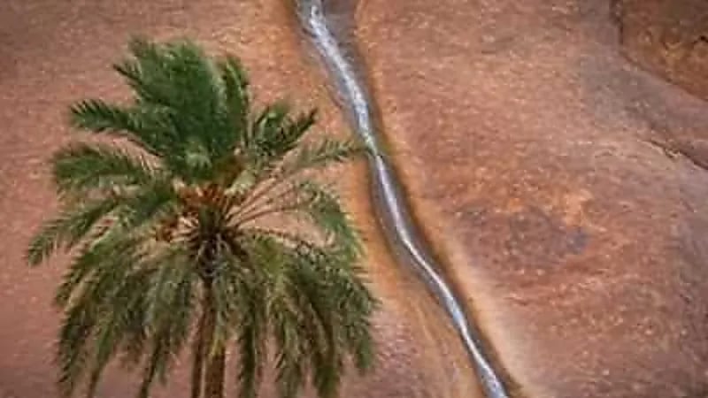 صدفة وخطأ بخدمة الخرائط في حائل تقود مواطن إلى صورة وجائزة "فيديو"