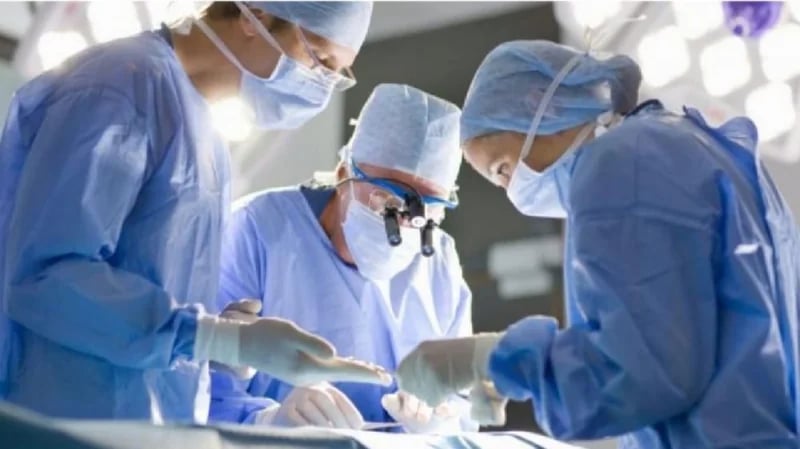 فيصل التخصصي توضح الأمراض التي يمكن علاجها عبر زراعة نخاع العظم والخلايا الجذعية