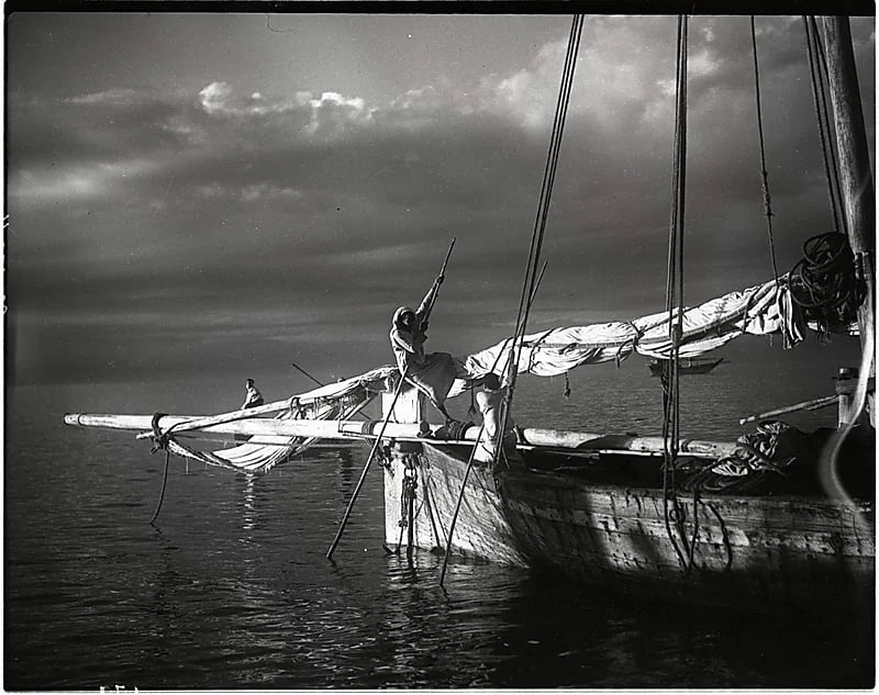 صورة قديمة رائعة بالمملكة تؤسر القلوب