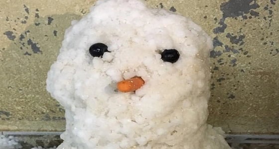 بالفيديو والصور.. البرد يتساقط على الرياض ومواطنون يوثقون برجل الثلج