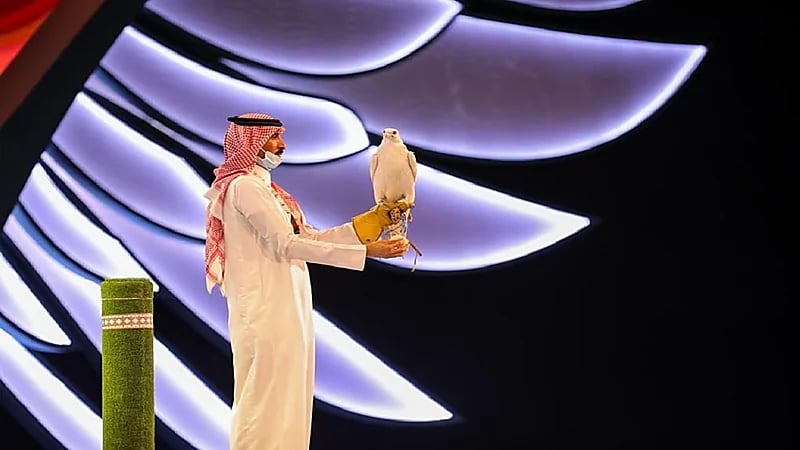 بيع صقر نادر الجمال بـ 350 ألف ريال