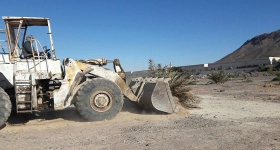 بالصور.. إزالة تعديات في طريق الهجرة بمساحة 35000 متر